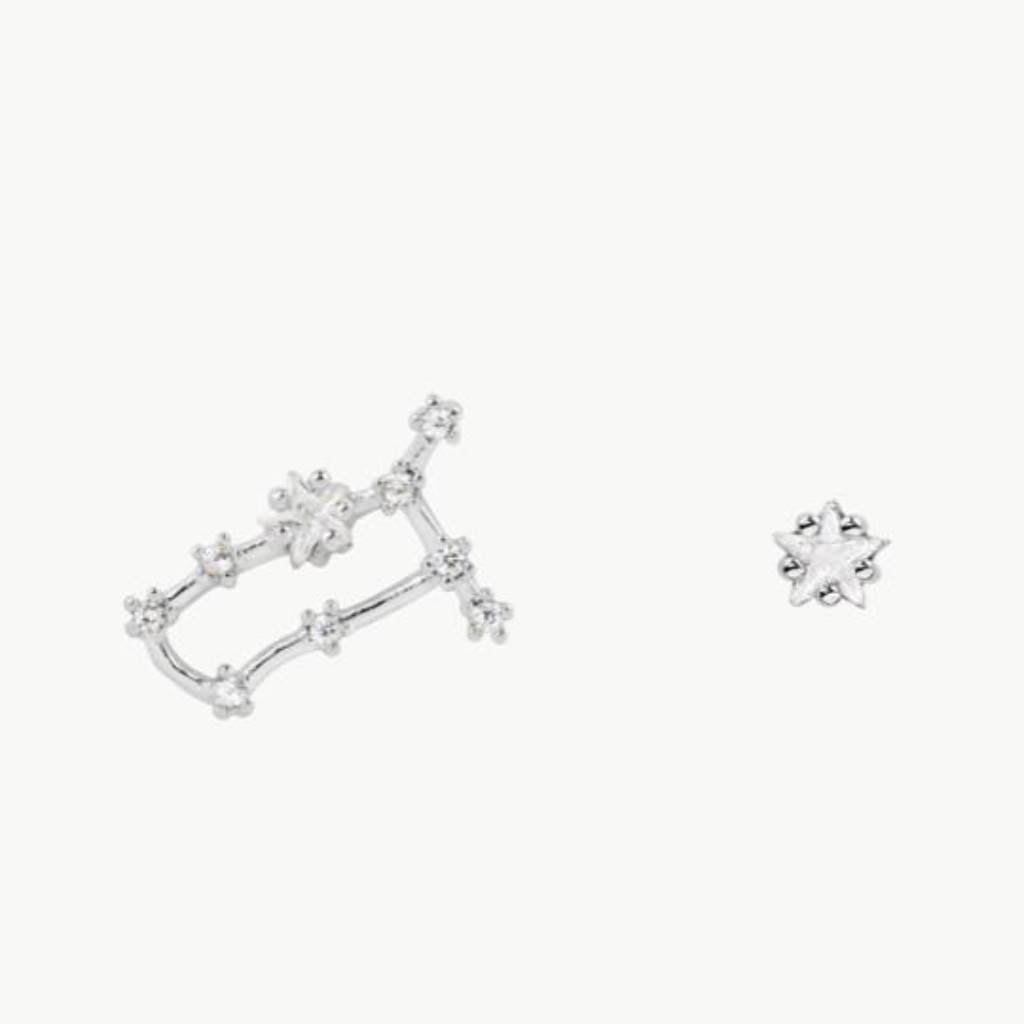 Gemini Silver Zodiac Earrings (Y)